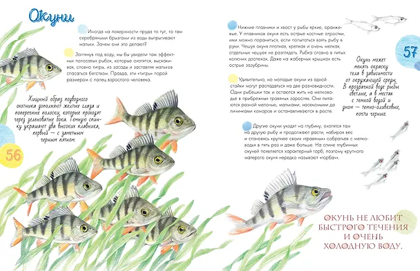 Книга Жизнь пруда (Наталья Габеева) — 9