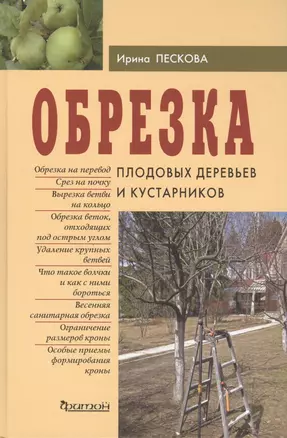 Обрезка плодовых деревьев и кустарников — 2407718 — 1