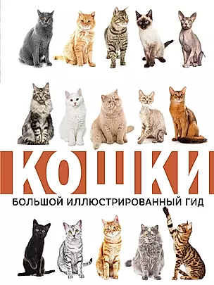 Кошки. Большой иллюстрированный гид — 2667024 — 1