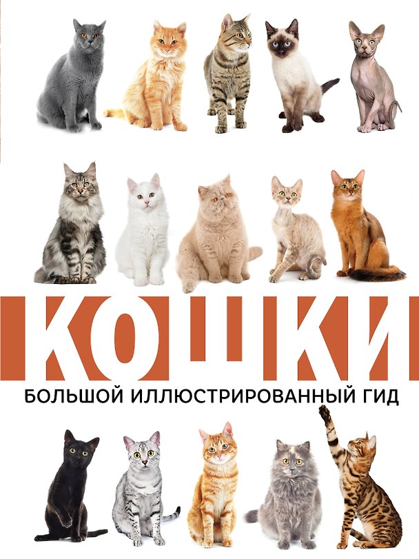 Книга Кошки (Николай Непомнящий) — 1