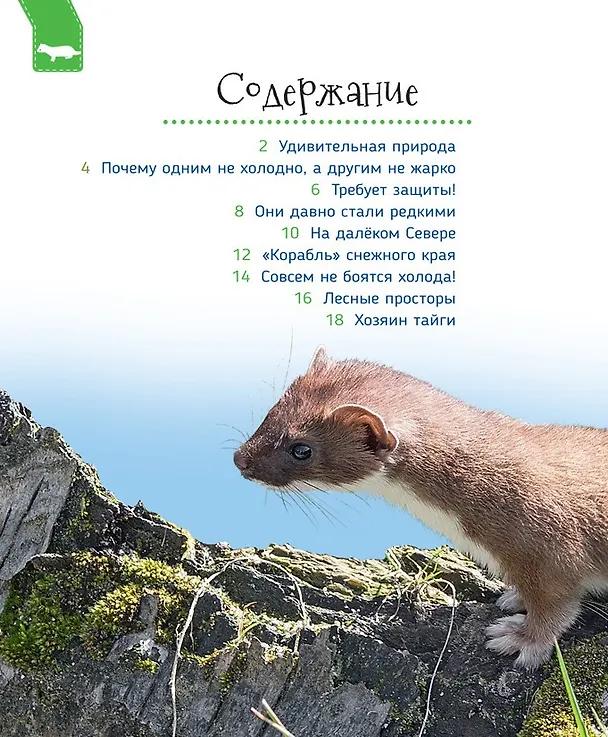 Книга Животные России (Светлана Гальцева) — 2