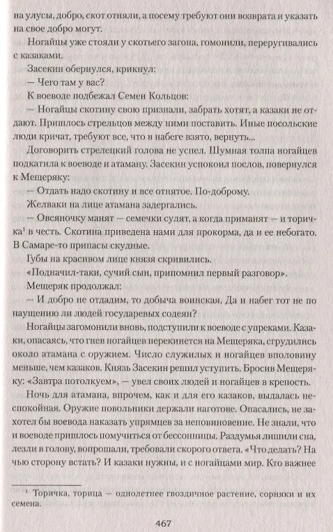 Книга Сарматы: Рать порубежная (Сергей Нуртазин) — 5