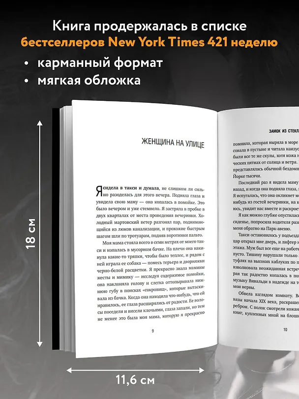 Книга Замок из стекла. Что скрывает прошлое (Джаннетт Уоллс) — 6