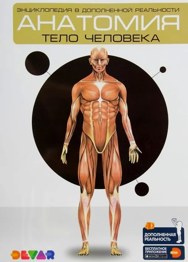 Книга Энциклопедия в дополненной реальности. Анатомия: Тело человека () — 1