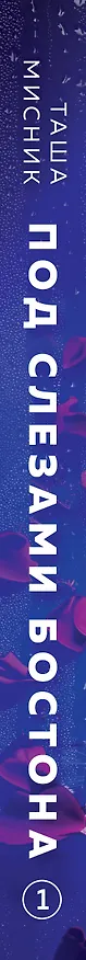 Книга Под слезами Бостона. Дьявол не спит (Таша Мисник) — 3