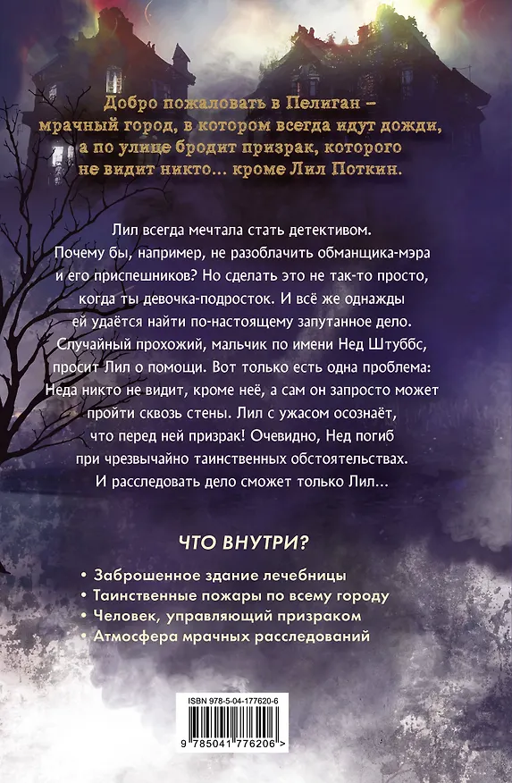 Книга Поткин и Штуббс. Тайна мальчика-привидения (новое оформление) (Софи Грин) — 2