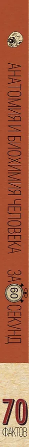 Книга Анатомия и биохимия человека за 60 секунд (Василий Логинов) — 3