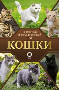 Кошки