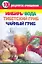 100 рецептов очищения. Имбирь, вода, тибетский гриб, чайный гриб — 2285626 — 1