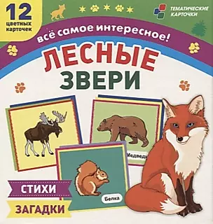 Лесные звери. 12 развивающих карточек с красочными картинками, стихами и загадками для занятий с детьми — 2779567 — 1