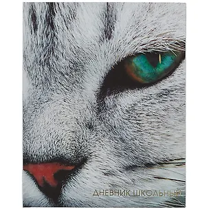 Дневник для средних и старших классов Listoff, "Котик" 2898512