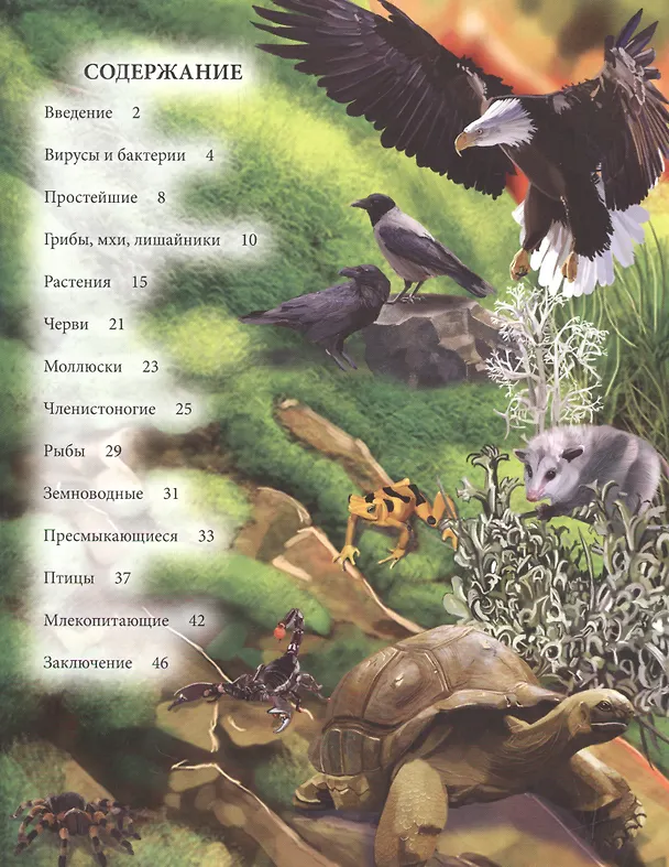 Книга Энциклопедия живой природы () — 2