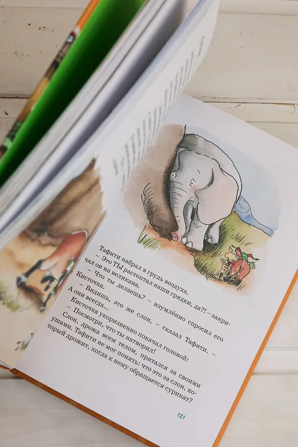 Книга Все приключения Тафити (Юлия Бёме) — 15