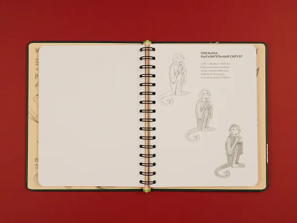 Книга Sketchbook. Животные (изумруд) () — 6