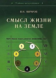 Книга Смысл жизни на Земле (Вагиз Абраров) — 1