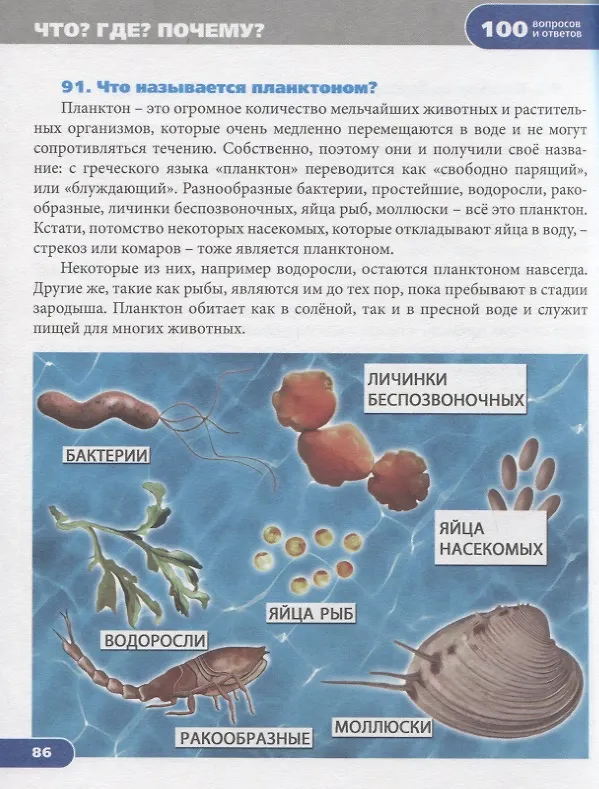 Книга Что? Где? Почему? Энциклопедия (Людмила Соколова) — 4