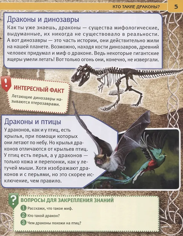 Книга Драконы. Энциклопедия с развивающими заданиями (Наталья Ерофеева) — 3