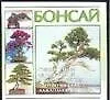 Бонсай