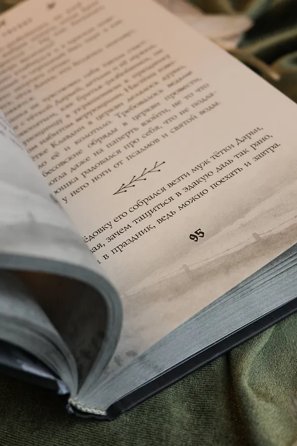 Книга Сорочье гнездо (Ольга Пустошинская) — 13