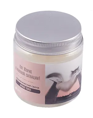Свеча ароматическая в стеклянной баночке СПб серия Пушистый Петербург Кот Жорик в неловкой ситуации (кокос) (100мл) 3005879