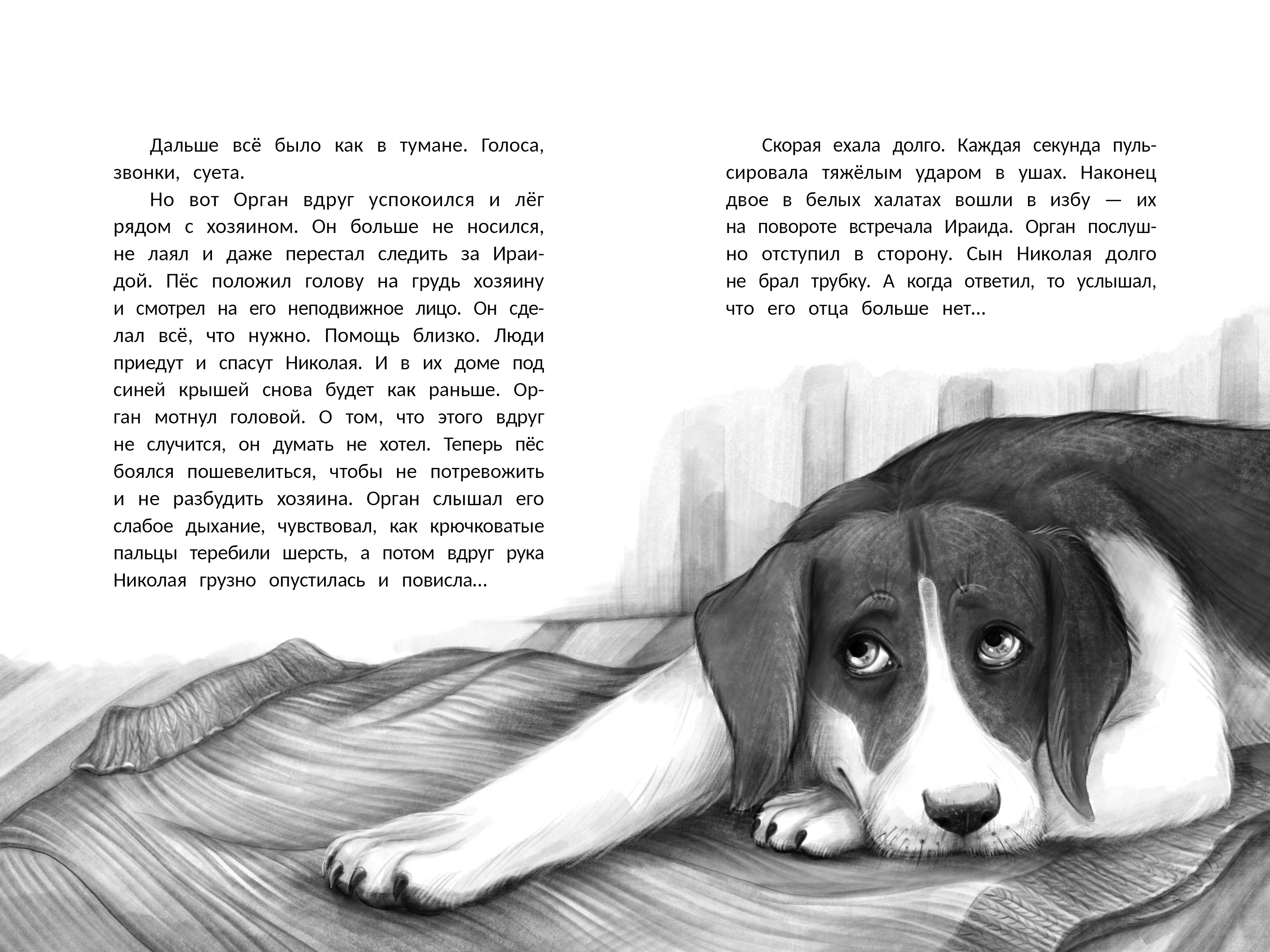 Изображение бумажной книги