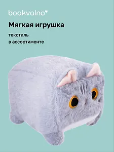 Мягкая игрушка Кот прямоугольный (23х20) (12-00647-202306-44) Bookvalno