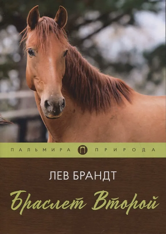 Книга Браслет Второй. Повесть (Лев Брандт) — 1