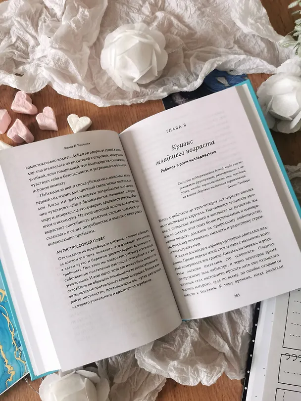Книга Чего хочет мой ребенок. Нейропсихология о том, как понять потребности своих детей и построить гармоничные отношения (Мона Делахук) — 10