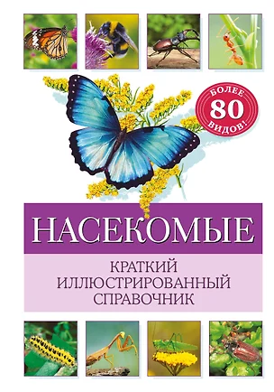 Насекомые. Краткий иллюстрированный справочник — 3039716 — 1