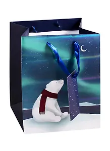 Пакет А5 23*18*10 Северное сияние дет., бум.мат.ламинат