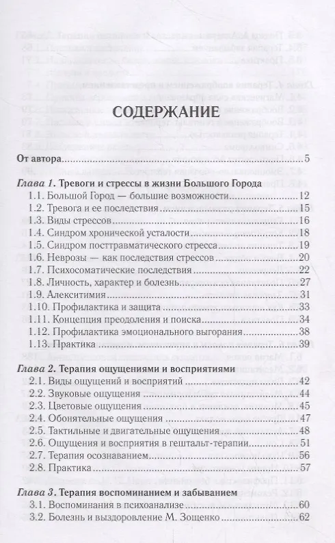 Книга Неврозы Большого Города. Причины и следствия. Профилактика и терапия (Валентин Петрушин) — 2