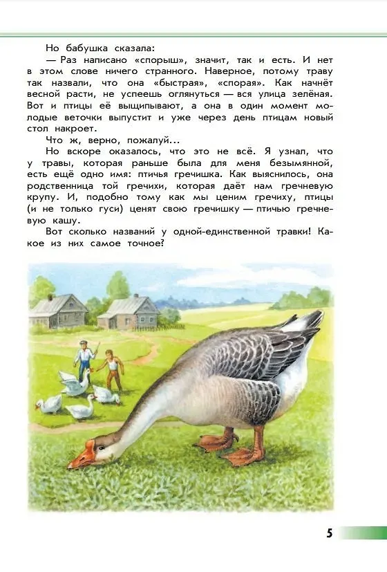 Книга Зеленые страницы (Андрей Плешаков) — 8