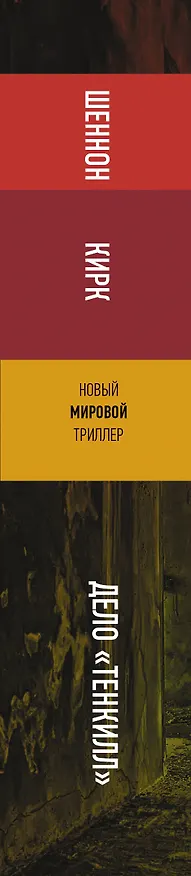 Книга Дело "Тенкилл" (Шеннон Кирк) — 3