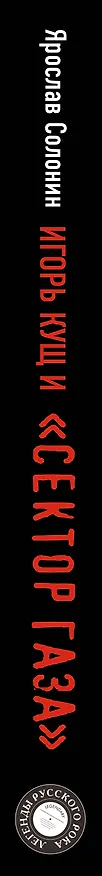 Книга Игорь Кущ и "Сектор Газа". Авторизованная биография (Ярослав Солонин) — 3