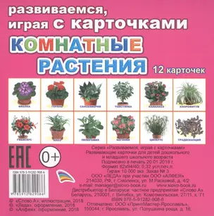 Комнатные растения — 2652316 — 1