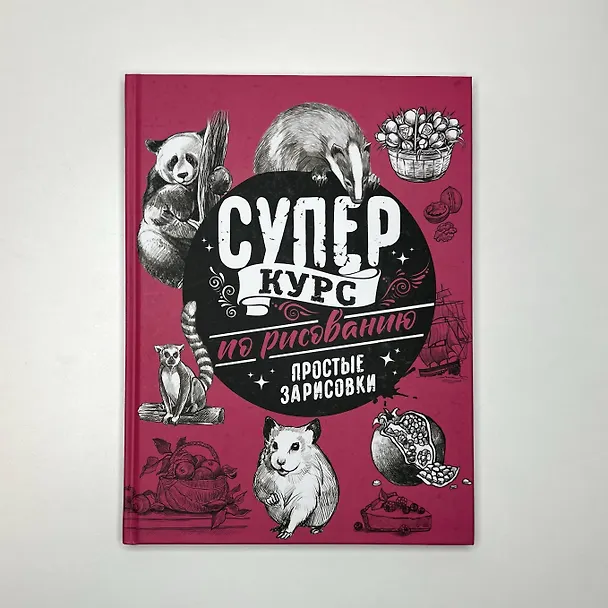 Книга Суперкурс по рисованию. Простые зарисовки (Мистер Грей) — 4