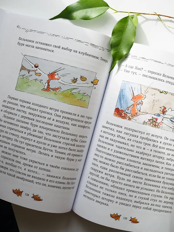 Книга Бельчонок, Медведь и охапка приключений. Повесть (Андреас Х. Шмахтл) — 13