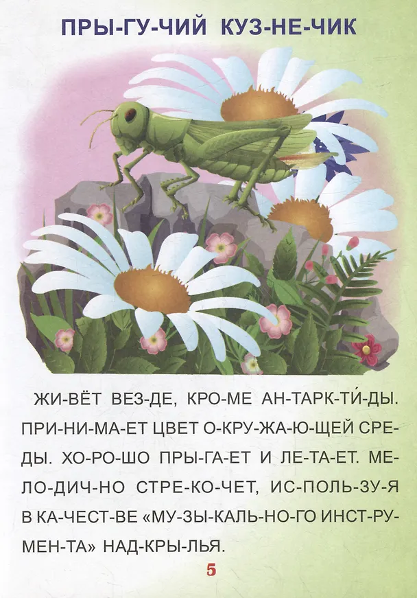 Книга Читаем по слогам. Крупные буквы. Читалочки-познавалочки. Рассказы: слоговой тренажер () — 5