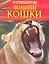 Большие кошки. — 2304943 — 1