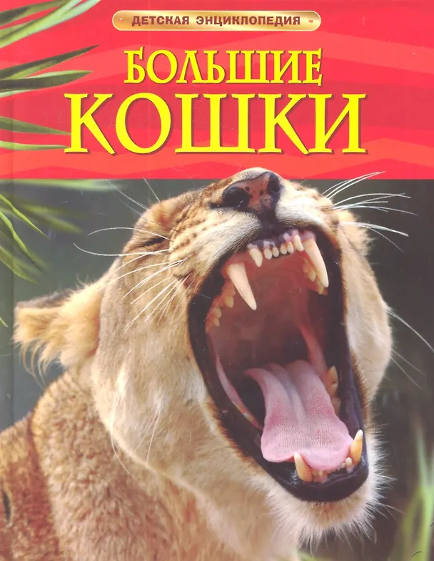 Книга Большие кошки. (Джонатан Шейх-Миллер) — 1