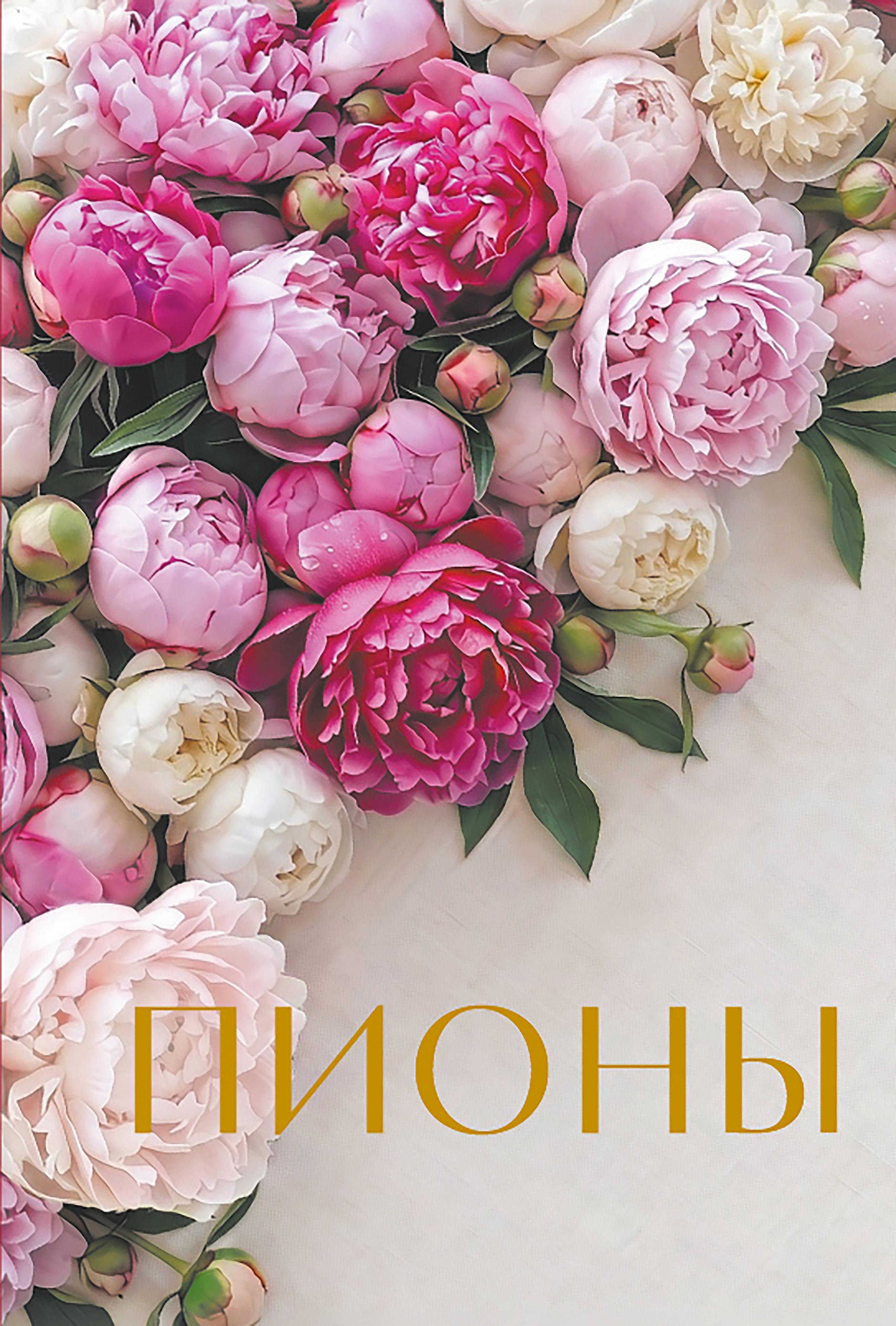 None Пионы. Коллекционное мини-издание