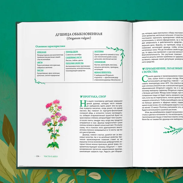 Книга Гримуар травницы. Иллюстрированный справочник по сбору, заготовкам и полезным свойствам дикорастущих растений (Франсуаза Кунстманн) — 11