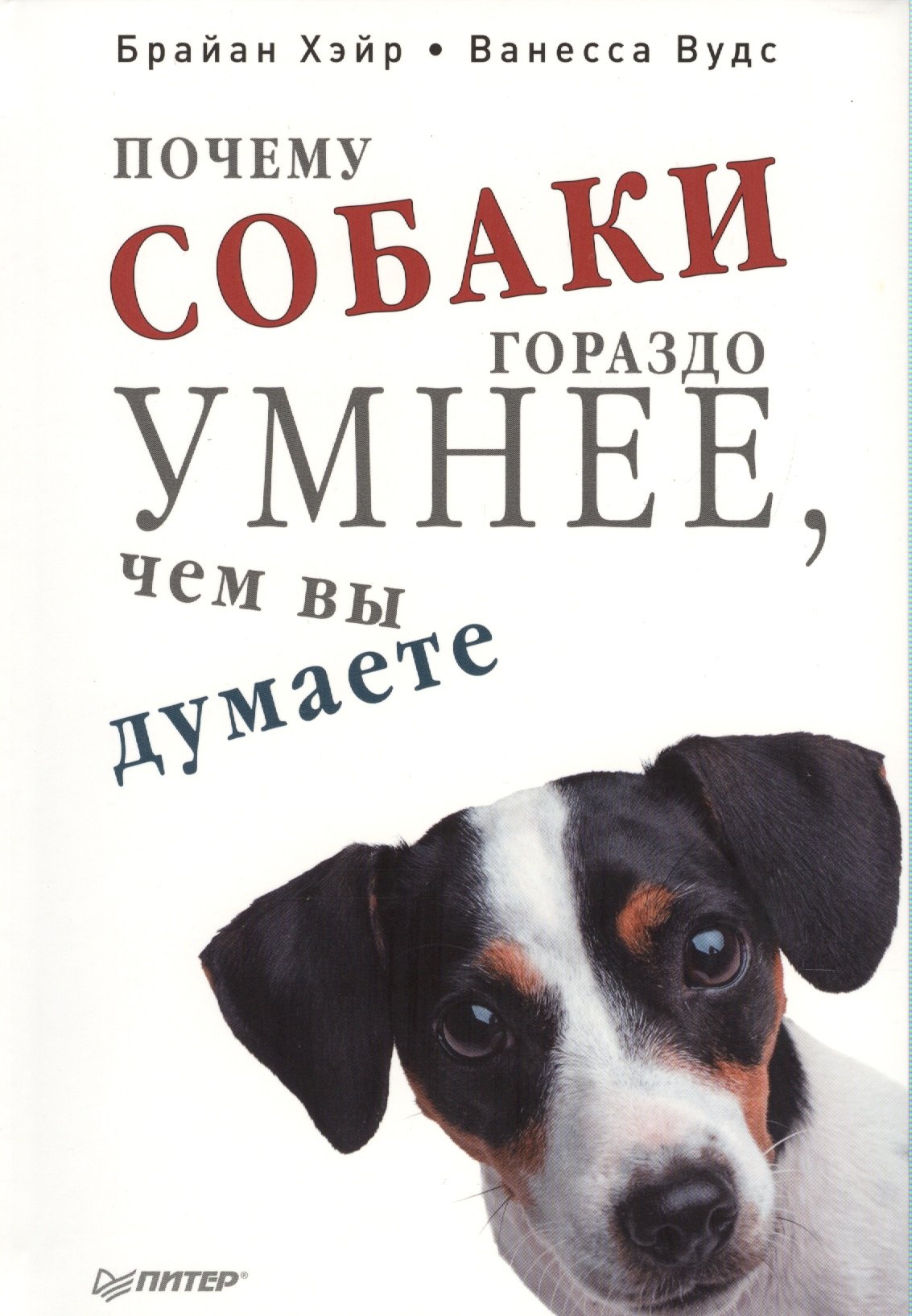 

Почему собаки гораздо умнее, чем вы думаете.