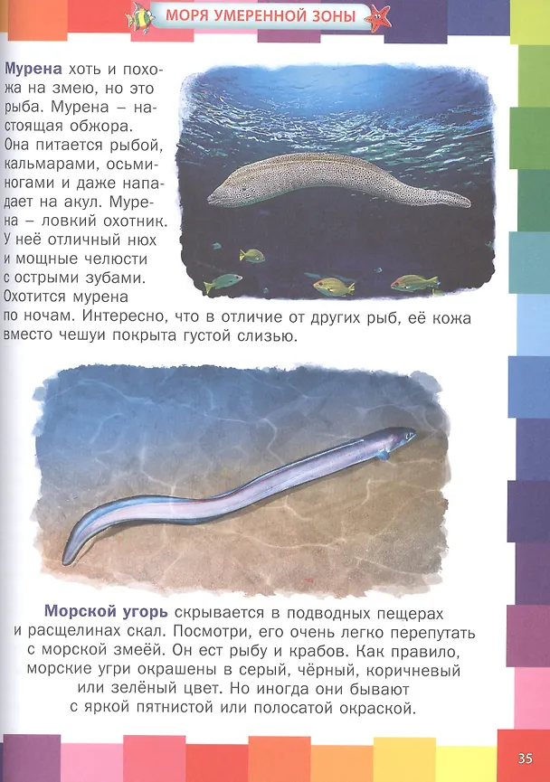Книга Животные морей и океанов. Энциклопедия для самых маленьких (Анна Забирова) — 4