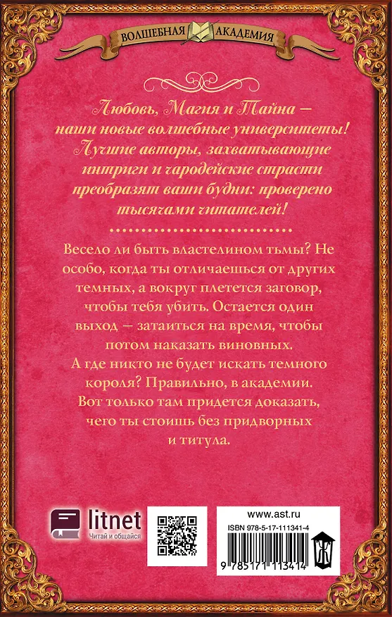Книга Академия для властелина тьмы. Какого темного? (Ольга Валентеева) — 2