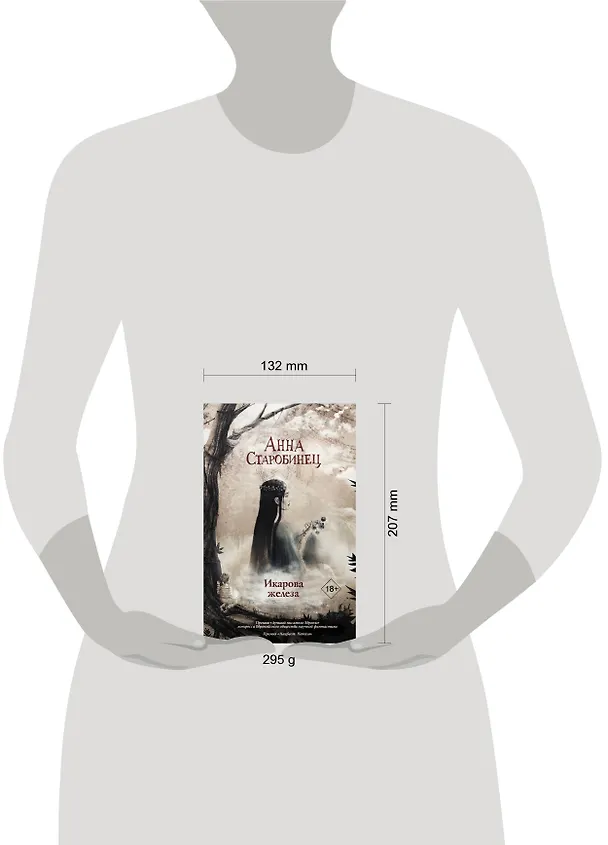 Книга Икарова железа (Анна Старобинец) — 4