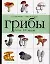 Справочник-определитель.Грибы.Более 120 видов — 2045140 — 1