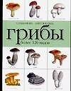 Книга Справочник-определитель.Грибы.Более 120 видов (Н. Макарова) — 1