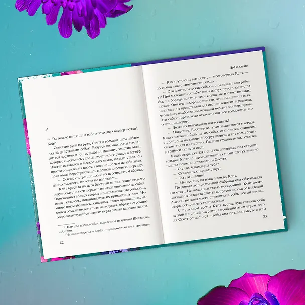 Книга Лед и пламя (Франсуаза Бурден) — 13
