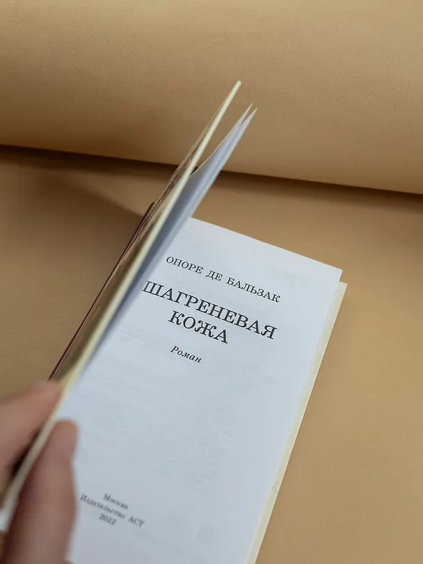 Книга Шагреневая кожа (Оноре де Бальзак) — 14